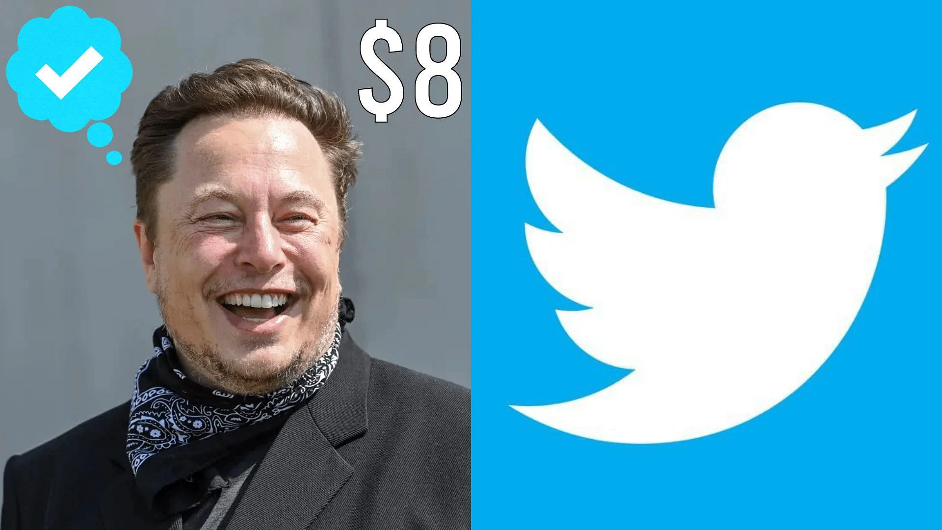 Elon musk Twitter : টুইটারে ব্লুটিক রাখতে মাসে গুনতে হবে ৮ ডলার সাফ জানালেন এলন মাস্ক