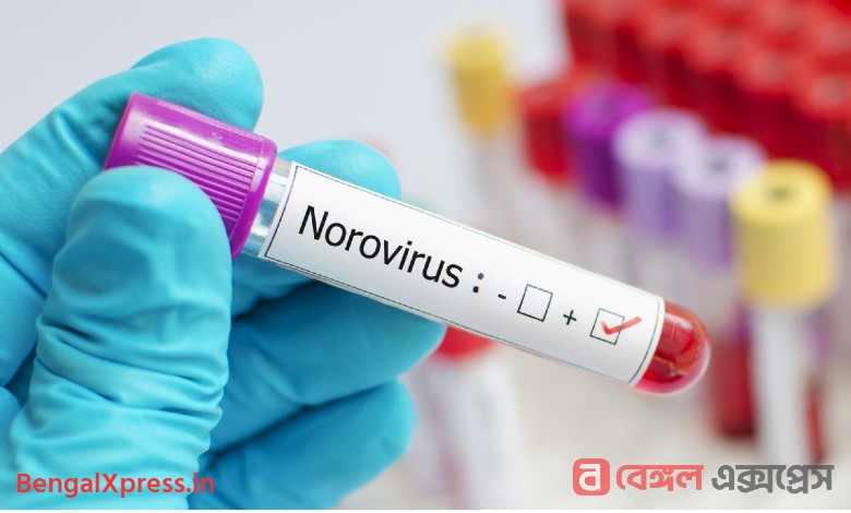 Norovirus Attack